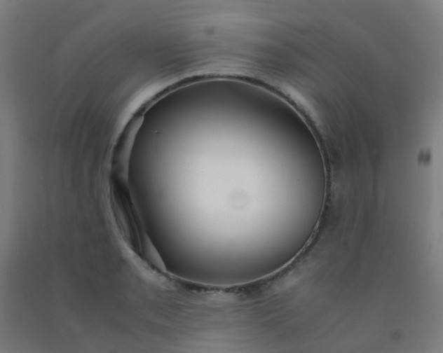 X0000092331085200709281422
