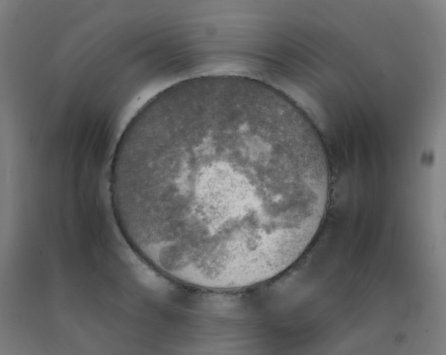 X0000092331086200709281421