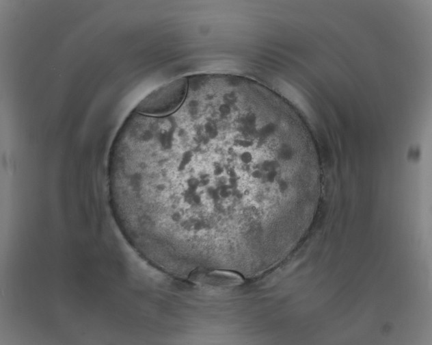 X0000092331087200709281421