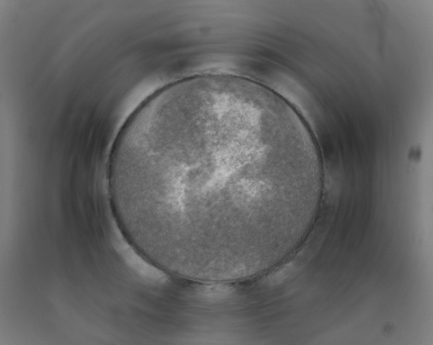 X0000092331090200709281421
