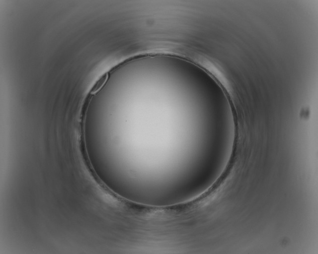 X0000092331093200709281421