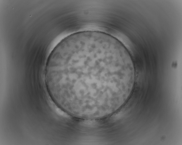 X0000092331094200709281421