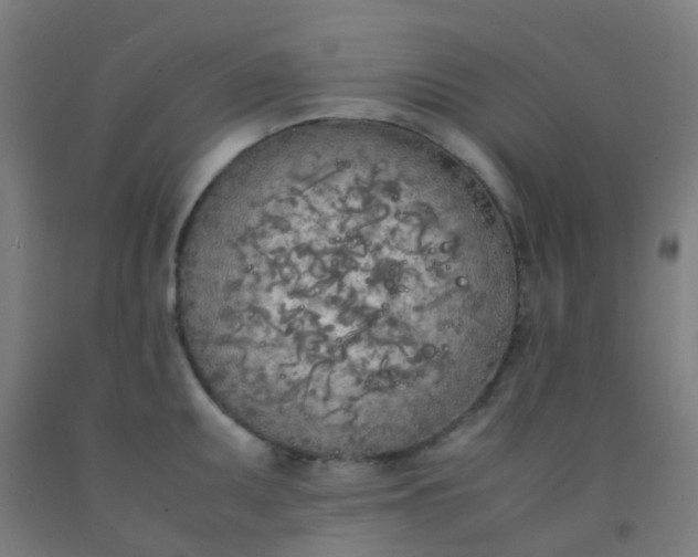 X0000092331095200709281421
