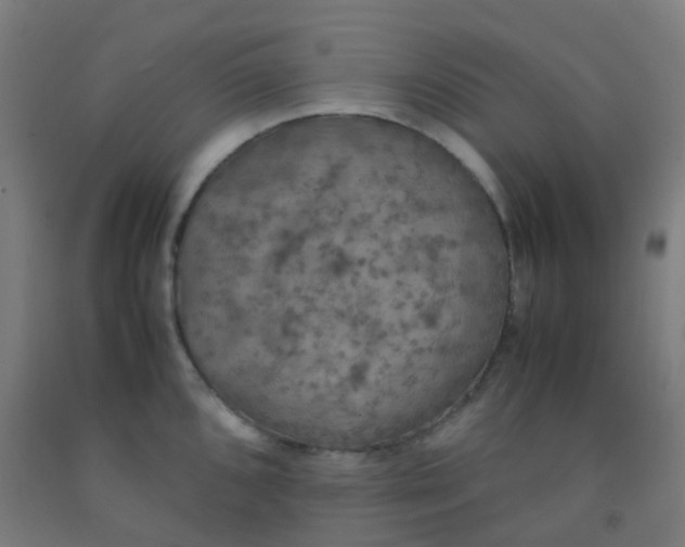 X0000092331096200709281421