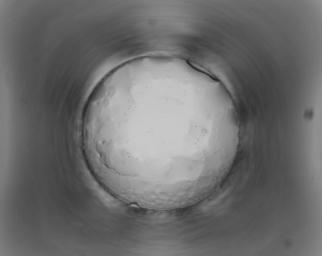 X0000092331099200709281421