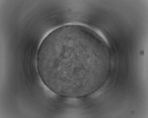 X0000092331100200709281421