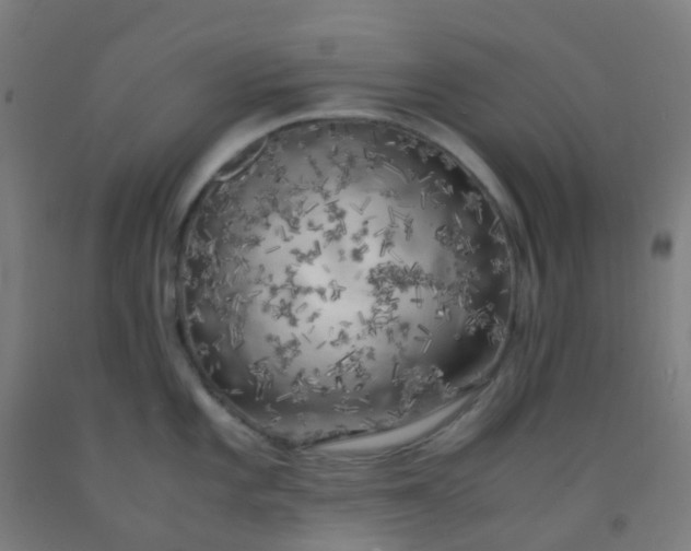 X0000092331101200709281421