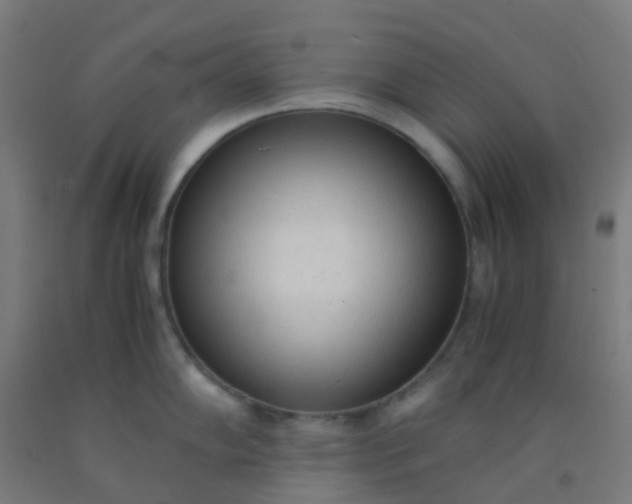 X0000092331102200709281421