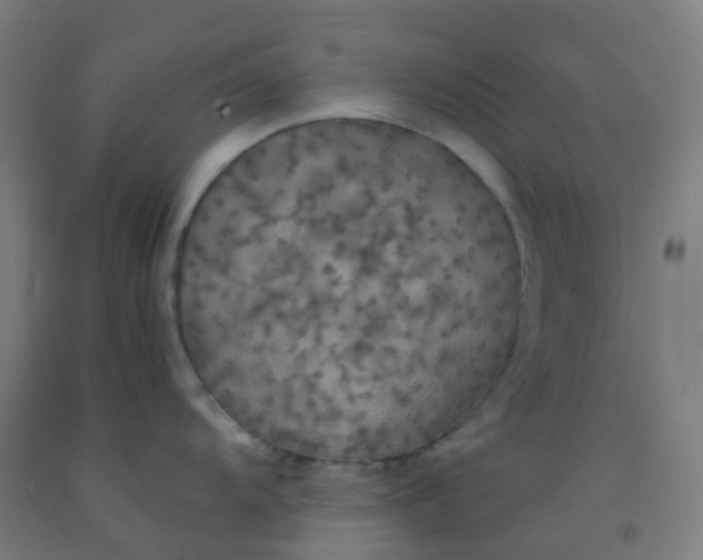 X0000092331104200709281421