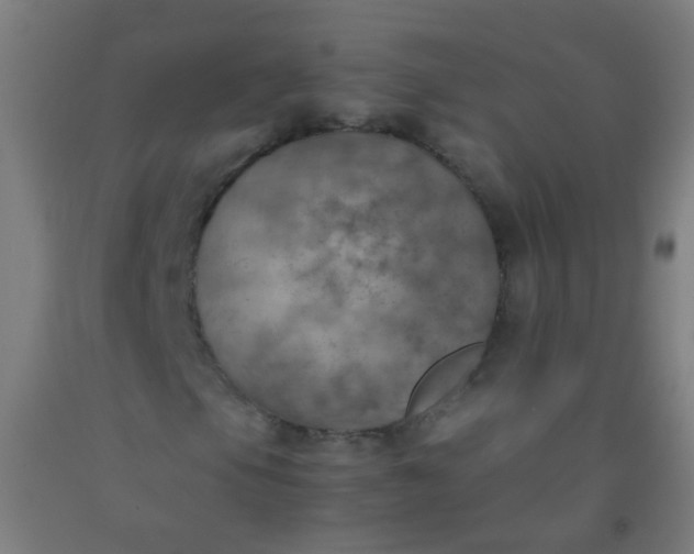 X0000092331105200709281420