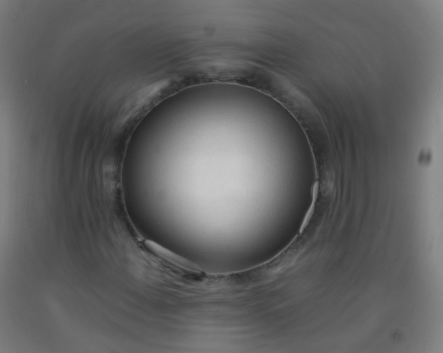 X0000092331108200709281420