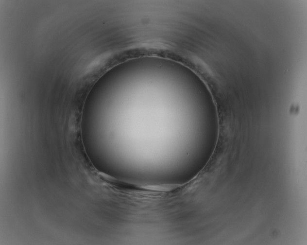 X0000092331110200709281420