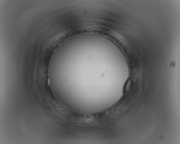 X0000092331111200709281420