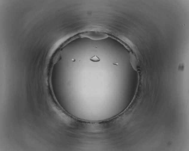 X0000092331120200709281421