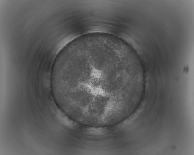 X0000092331121200709281421