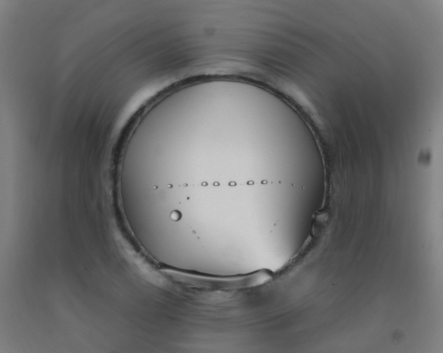 X0000092331122200709281421