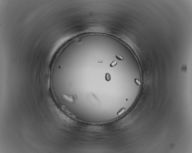 X0000092331123200709281421