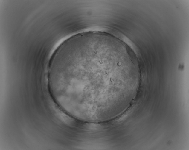 X0000092331124200709281421
