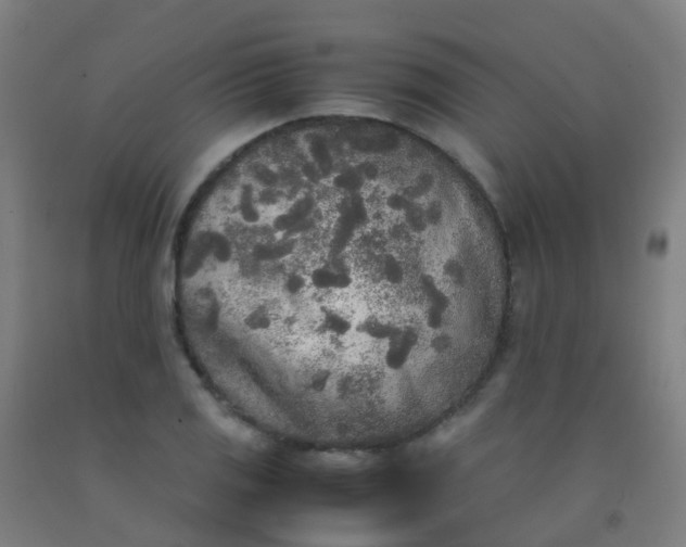 X0000092331125200709281421