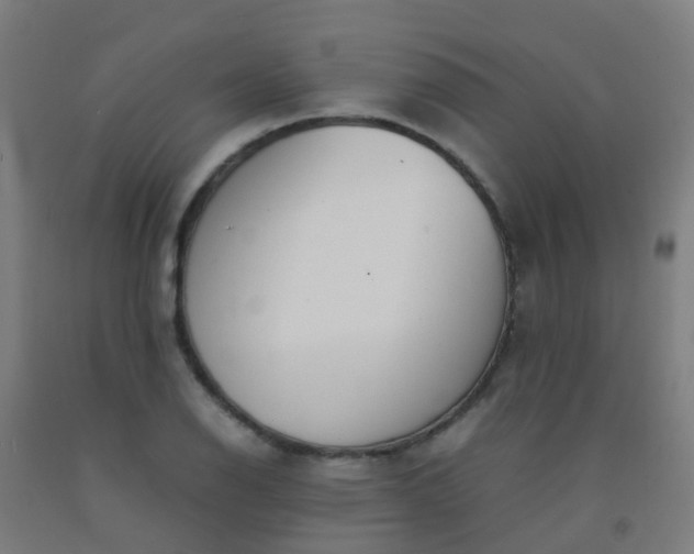 X0000092331126200709281421