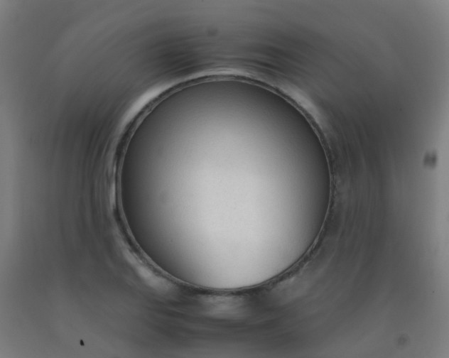 X0000092331127200709281421
