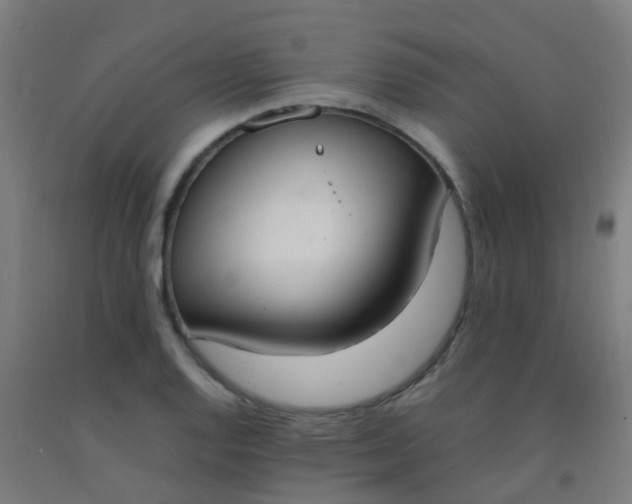 X0000092331128200709281421