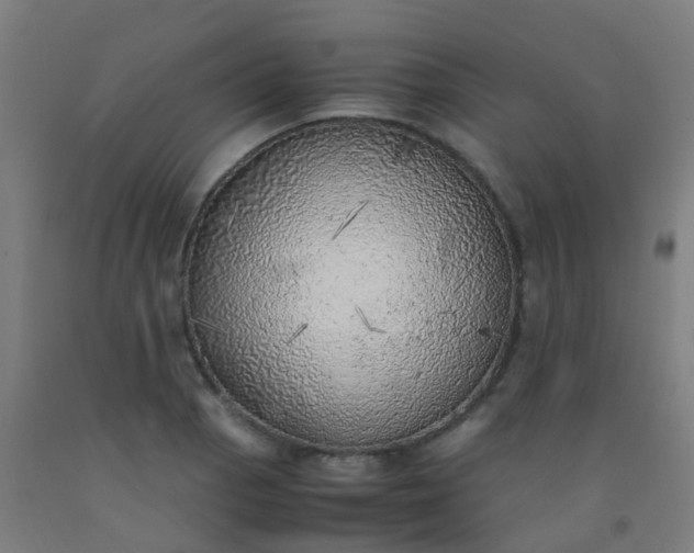 X0000092331129200709281421