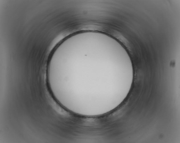 X0000092331130200709281421