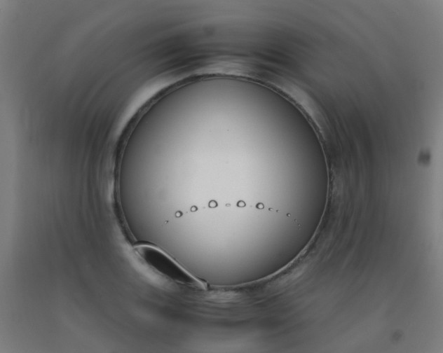 X0000092331131200709281421