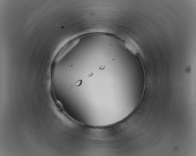 X0000092331132200709281421