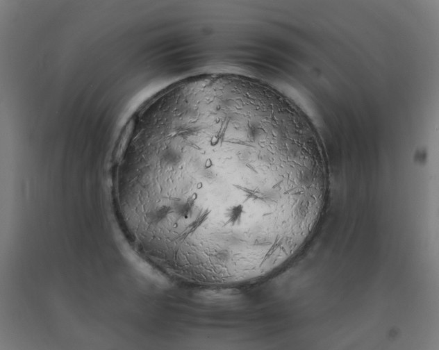 X0000092331133200709281421