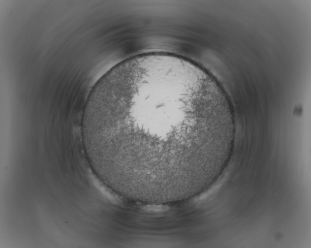 X0000092331137200709281421