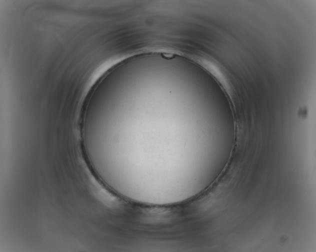 X0000092331141200709281421