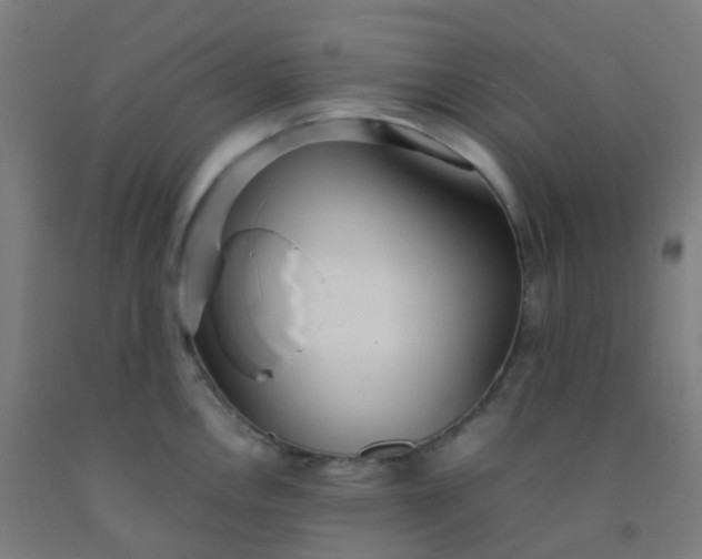 X0000092331146200709281421