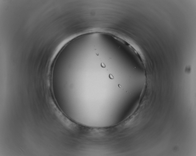 X0000092331148200709281421