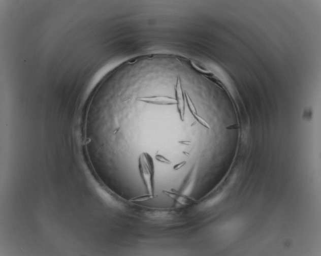 X0000092331149200709281421