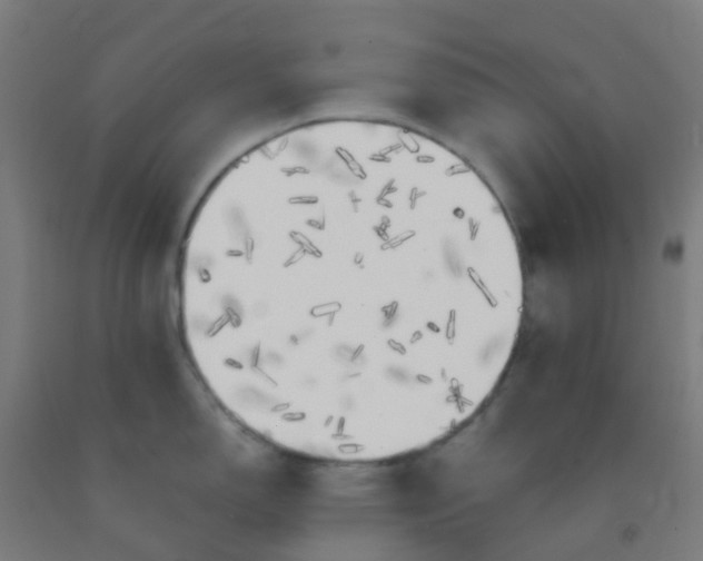 X0000092331150200709281421