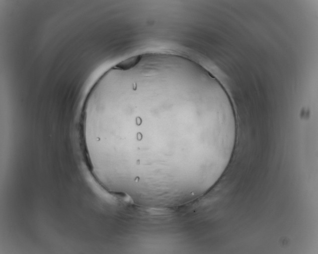 X0000092331152200709281421