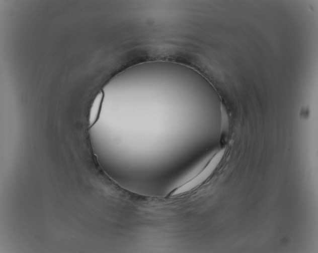 X0000092331153200709281420