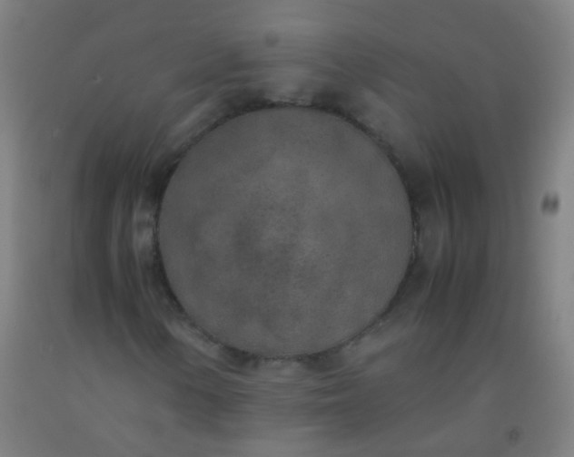 X0000092331154200709281420