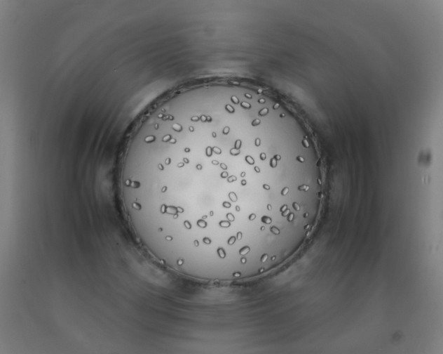 X0000092331162200709281420
