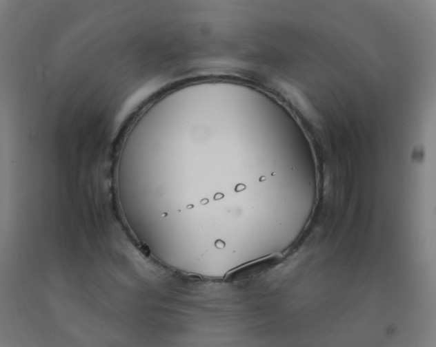 X0000092331164200709281420