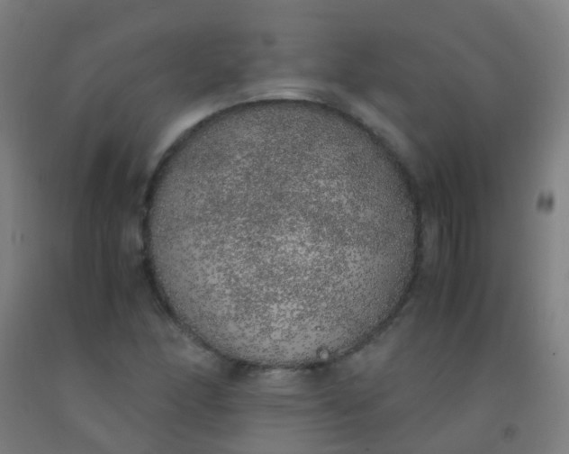 X0000092331166200709281420