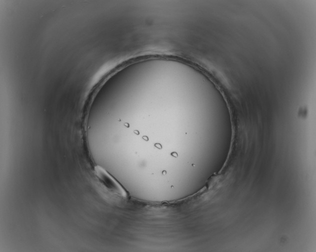 X0000092331168200709281420