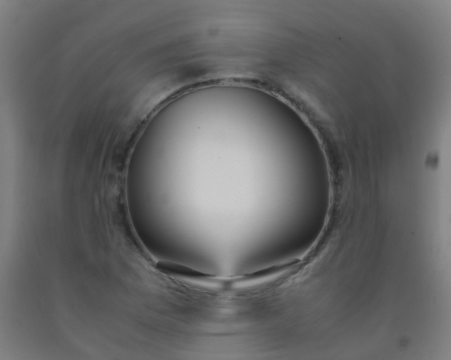 X0000092331169200709281420