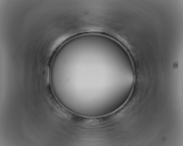 X0000092331171200709281420