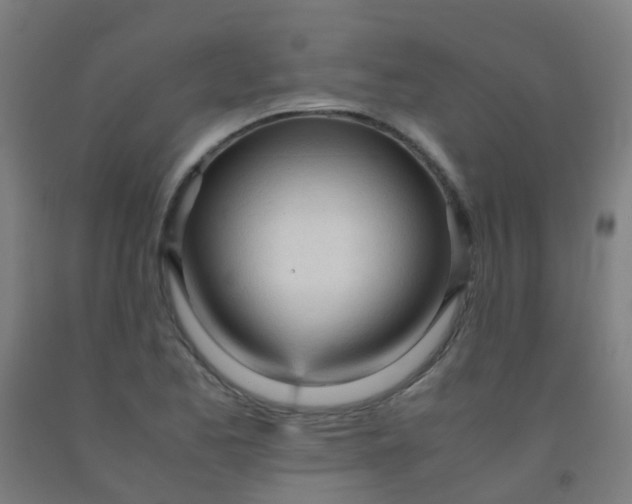 X0000092331173200709281420