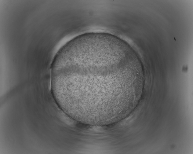 X0000092331175200709281420