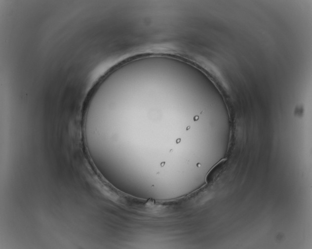 X0000092331176200709281420