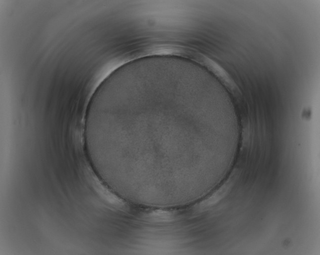 X0000092331178200709281420